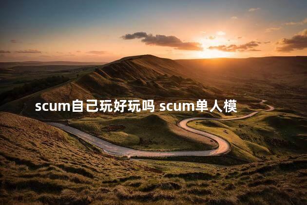 scum自己玩好玩吗 scum单人模式有什么玩